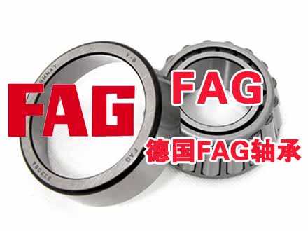 德國(guó)FAG軸承